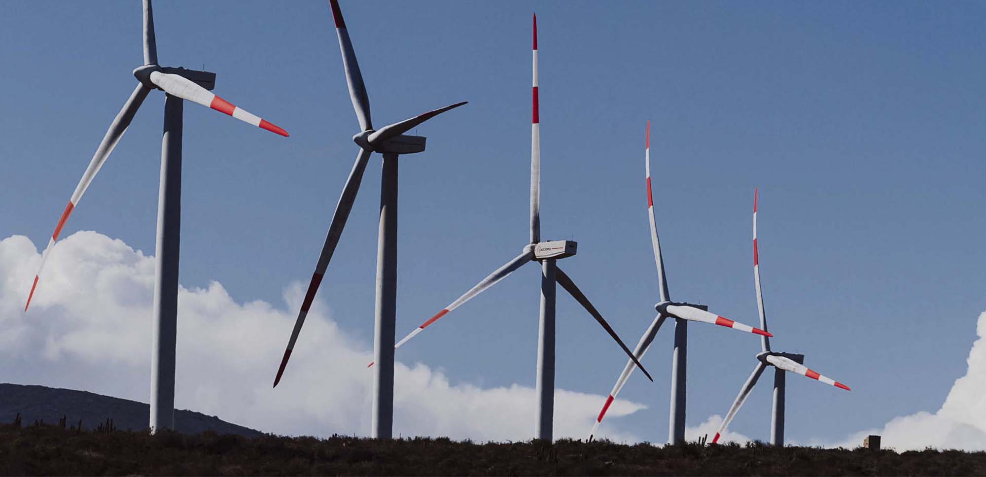ACCIONA monitoriza el riesgo de 43.000 proveedores gracias a la digitalización de sus procedimientos de compra ACCIONA monitoriza el riesgo de 43.000 proveedores gracias a la digitalización de sus procedimientos de compra