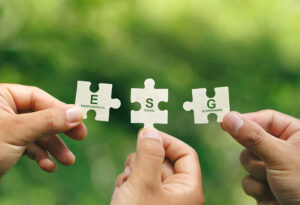 ESG Needs - Procurement Management - Puzzle Pieces