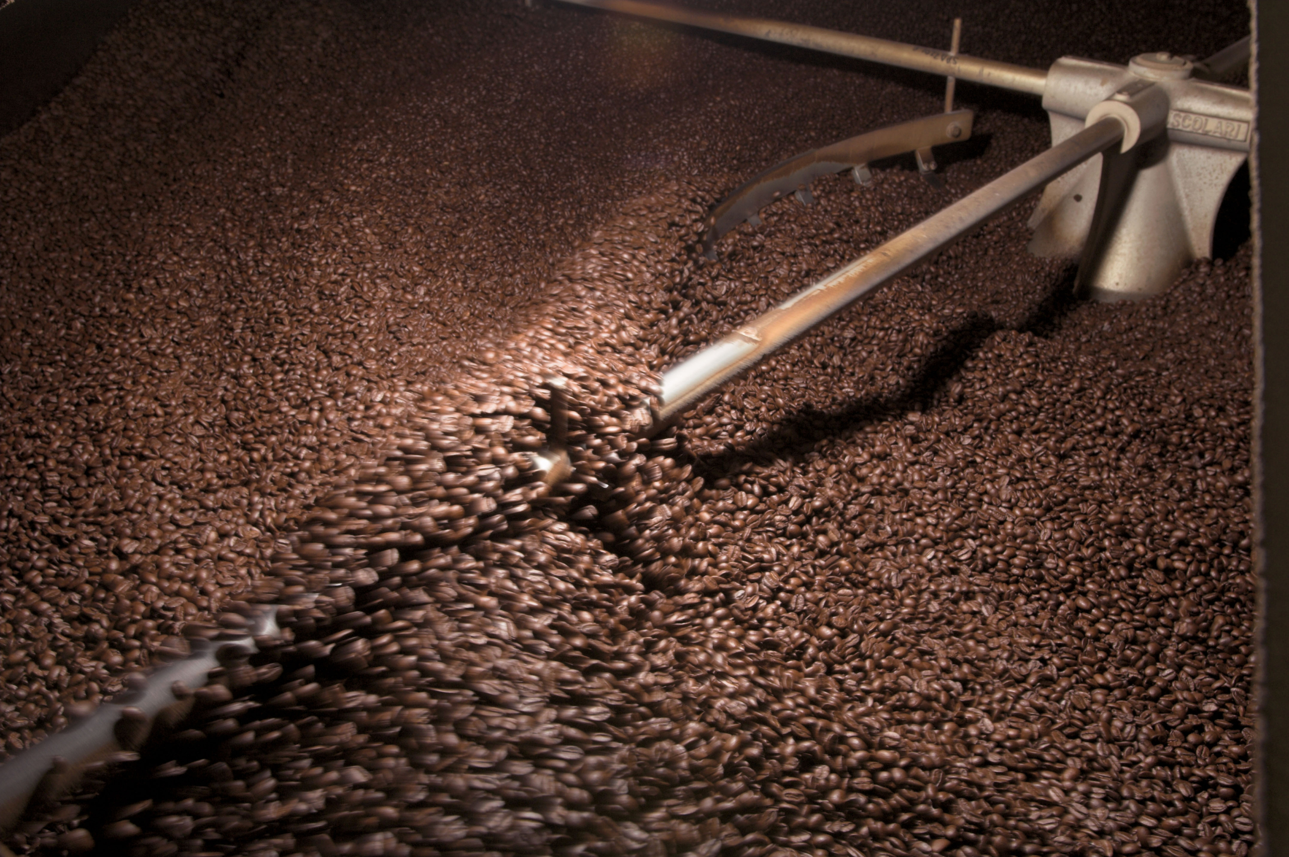 tostatura-caffe-scaled From Supplier Qualification to Contract Management: illycaffè’s Digital Procurement Project
