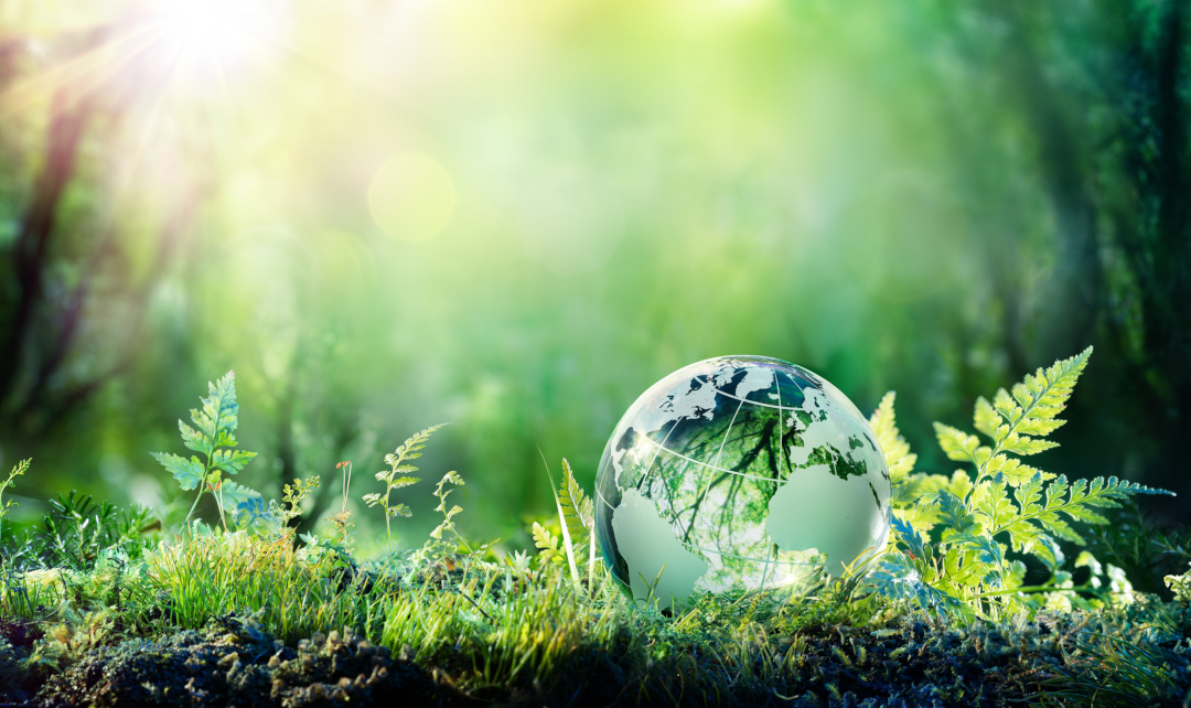 Strategic Sourcing and Decarbonization: Decision-making across Disciplines Strategic Sourcing and Decarbonization: Decision-making across Disciplines