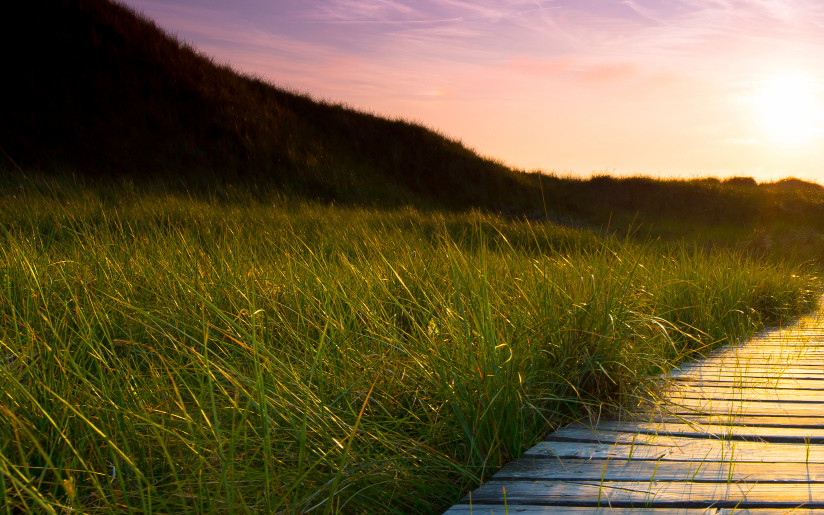 Get Transparency in the Supply Chain to Comply with Sustainability Regulations – Part 2: Here’s How! Get Transparency in the Supply Chain to Comply with Sustainability Regulations – Part 2: Here’s How!