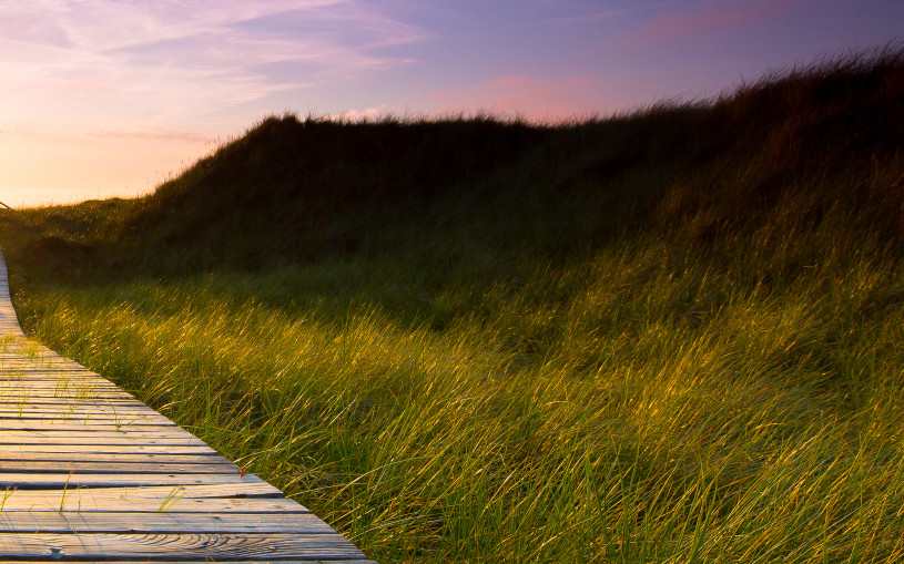Get Transparency in the Supply Chain to Comply with Sustainability Regulations – Part 1: What’s Needed? Get Transparency in the Supply Chain to Comply with Sustainability Regulations – Part 1: What’s Needed?